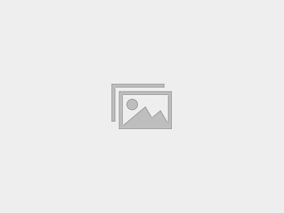 Download-Center / Dokumentensammlung